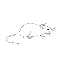 Simple Black and White Drawing of a Small Mouse