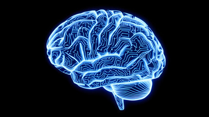 human brain x ray blue transparent