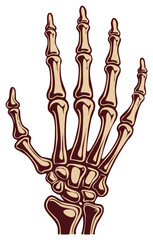 Stylized Human Skeleton Hand and Wrist Art