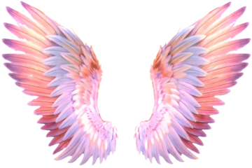 Pastel Angel Wings Isolated on Transparent Background isolated on a transparent background