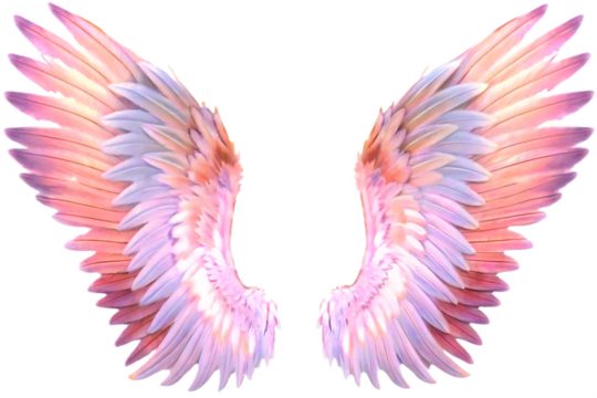 Pastel Angel Wings Isolated on Transparent Background isolated on a transparent background