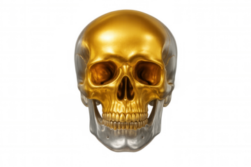 Golden skull with silver jaw on transparent background, creating a luxurious and eerie atmosphere
