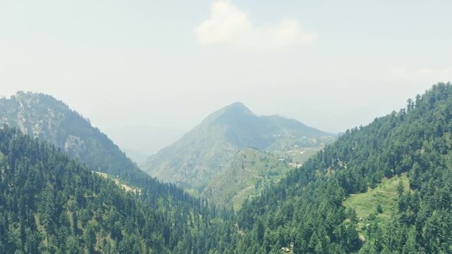 View of tall and green trees on hills captured from Malam Jabba SWAT resort in Pakistan during daytime.