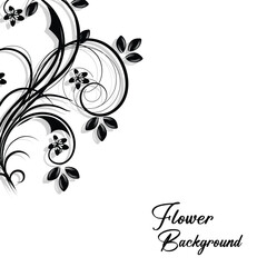 Elegant black floral swirls and leaves on white background