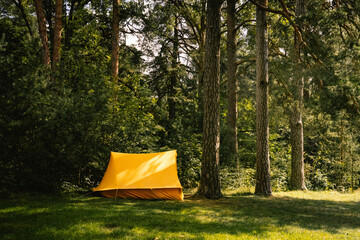 tent in the forest © Viikster
