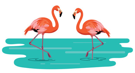 Obraz premium Two flamingos stand wading in a turquoise body of water