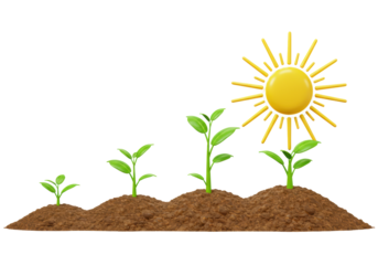 Isolated Seedlings Germinating Stages in Soil Under a Warm Sun Illustrating Growth Processes