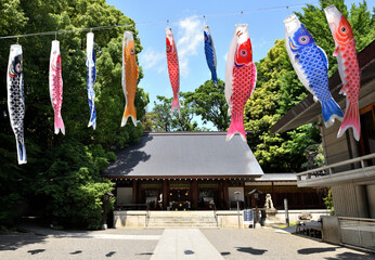 神社の境内に飾られた鯉のぼり