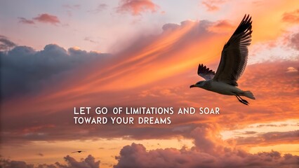 Inspirational Sunset Sky with Soaring Seagull and Motivational Message.