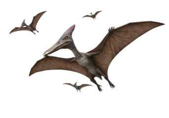 Isolated Flock of Flying Pterodactyls Prehistoric Reptiles Extinct Animals Dinosaurs