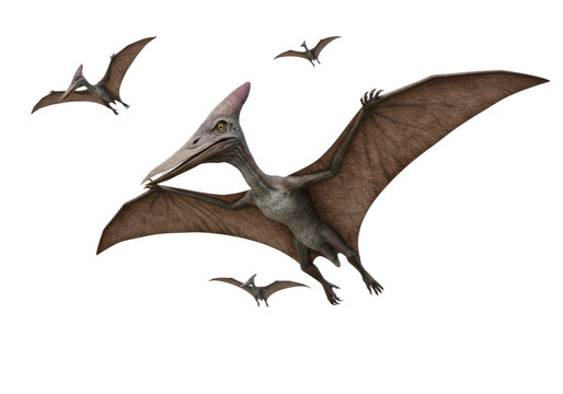 Isolated Flock of Flying Pterodactyls Prehistoric Reptiles Extinct Animals Dinosaurs