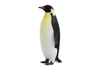 Isolated Emperor Penguin stands tall, a majestic flightless bird from the Antarctic region