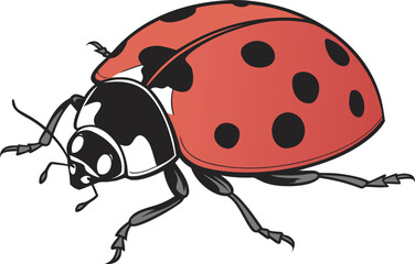 Single Ladybug Illustration on White Background. Realistic Ladybug Artwork with Detailed Spots. Cute Ladybug Drawing for Nature and Garden Theme. Decorative Ladybug Painting in Bright Colors