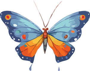 Butterfly vector illustration
