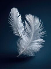 Two white feathers in mid-air against a deep blue backdrop.  Close-up view showcases intricate details of the delicate feather structure