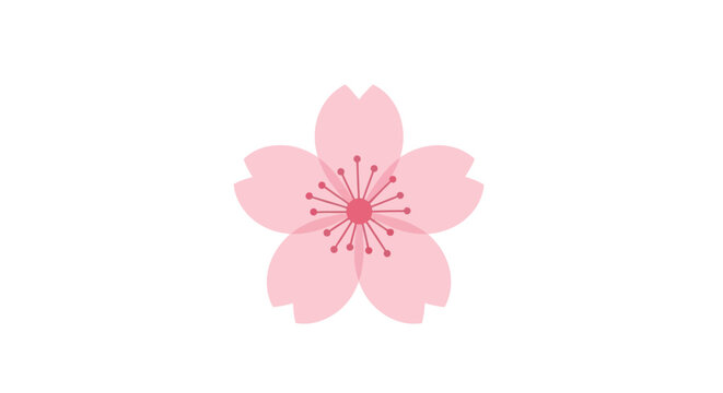 Elegant vector icon of a single pink Japanese sakura or cherry blossom flower. A beautiful symbol of springtime and floral nature
