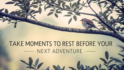 Small bird resting on a tree branch with an inspirational quote about taking a break before new adventures.