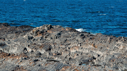rocky shore of the Arctic Ocean without people