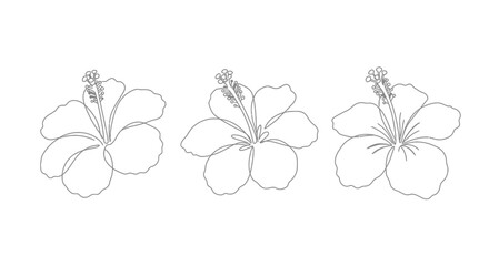Three delicate hand drawn hibiscus flowers in a simple outline sketch style creating a beautiful floral pattern silhouette