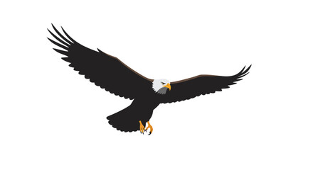Majestic bald eagle soaring with wings spread wide in a powerful flight against a clean white background showcasing its iconic silhouette