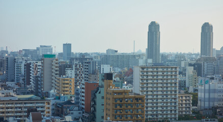 Obraz premium 夏の朝の東京都の街の住宅街の風景