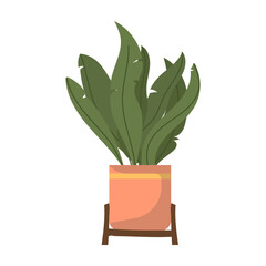 Flat Style Minimalist Bird of Paradise Plant Indoor Decoration Illustration