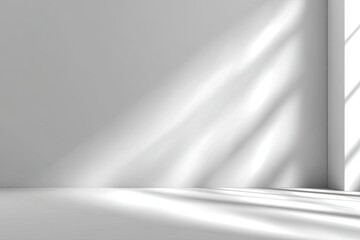 Empty white room bathed in sunlight