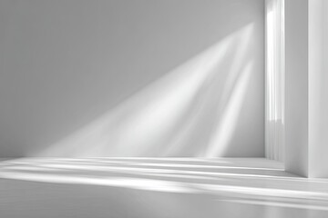 Empty, bright white room with sunbeams