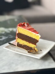 Slice of Chocolate Cake on Plate