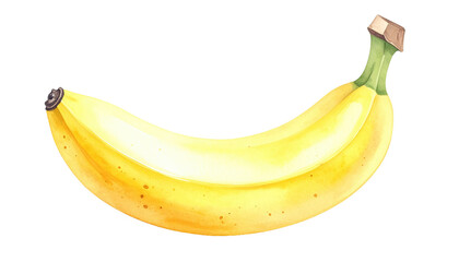 Watercolor banana fruit tropical watercolor illustration hand painted