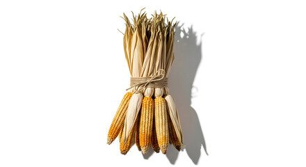 Rustic corn bundle adds autumn charm to any space, perfect for harvest season decor and Thanksgiving celebrations