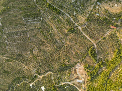 Aerial view of the winding roads carving through the terraced landscape, casting long shadows across the verdant hillsides, Douma, North Governorate, Lebanon.