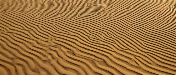 Obraz premium Abstract rippled sand pattern glowing under warm golden evening light.