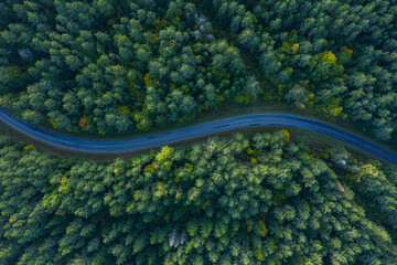 Drone aerial view of a winding forest road in Lithuania surrounded by dense green trees, scenic nature landscape for travel and adventure
