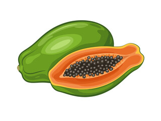 Fresh Papaya Fruit Illustration Two Papayas one cut in half showcasing seeds and vibrant colors perfect for healthy lifestyle content and culinary designs