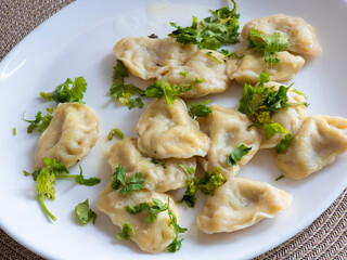 Steamed dumplings garnished with fresh coriander resting on crisp white ceramic plate, presenting appetizing Asian culinary detail