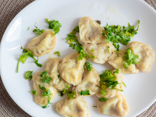 Steamed dumplings garnished with fresh coriander resting on crisp white ceramic plate, presenting appetizing Asian culinary detail