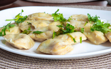 Steamed dumplings garnished with fresh coriander resting on crisp white ceramic plate, presenting appetizing Asian culinary detail