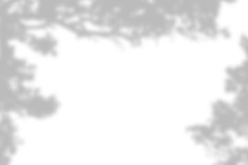 Shadow overlay effects of realistic tree branches shadow with light blur on transparent background