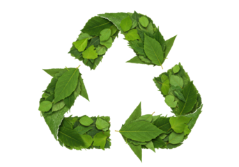 Isolated Recycle Symbol Made of Fresh Green Leaves Environmental Conservation Concept