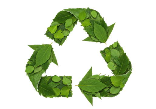 Isolated Recycle Symbol Made of Fresh Green Leaves Environmental Conservation Concept