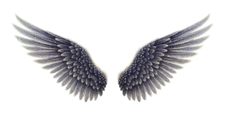 Fantasy Wings Spread on Dark Backdrop Decorative Feathered Wings