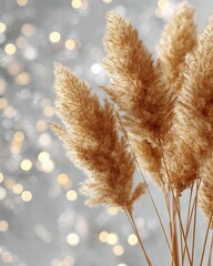 Elegant Dried Pampas Grass Against Soft Background
