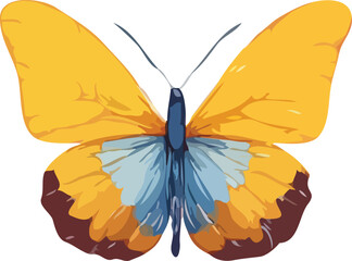 Butterfly vector illustration