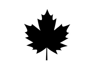 Black silhouette maple leaf icon on a transparent background in PNG format. Great for seasonal graphics, nature-themed designs, Canada symbols, logos, and decorative digital elements