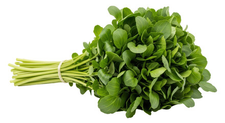 Isolated Watercress Bunch