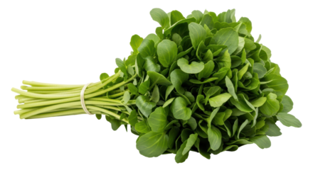 Isolated Watercress Bunch