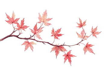 Fototapeta premium Watercolor autumn maple branch with red leaves isolated on transparent background