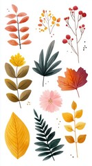 s Abundant Autumn  on White Background