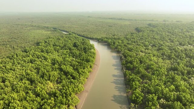 Aerial view of a river snaking through a dense mangrove forest, showcasing the vibrant green canopy against the muddy river, Sundarban, Khulna Division, Bangladesh.